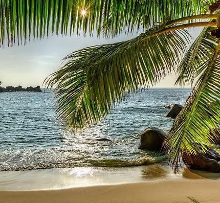 Baga Beach Palms Exterior foto
