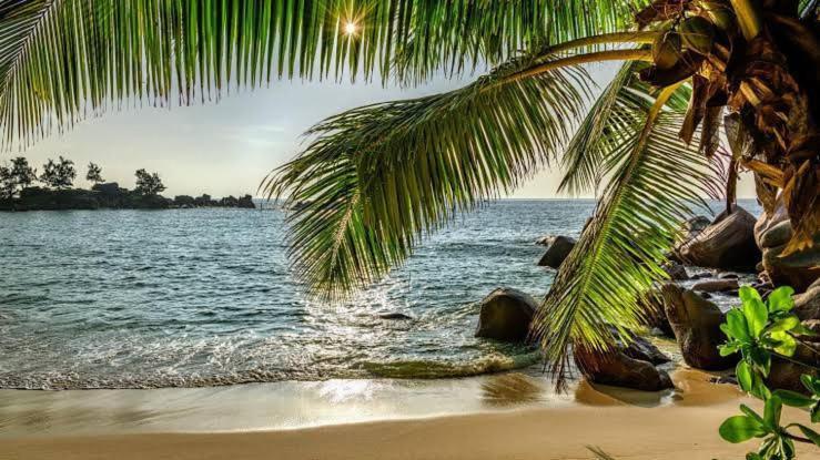 Baga Beach Palms Exterior foto